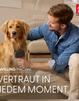 Bild 10 von 10