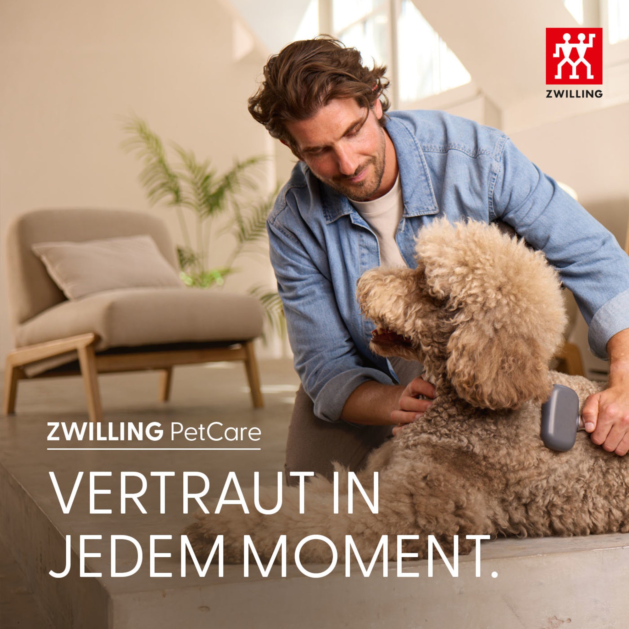 Soft‑Tip Zupfbürste für kleine Hunde und Katzen