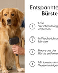 Bild 6 von 10