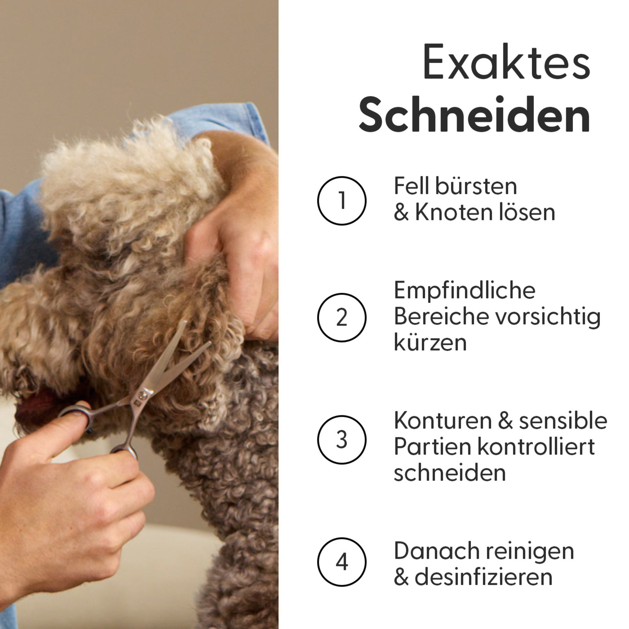 Safety Fellschere für kleine Hunde und Katzen