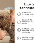 Bild 5 von 8