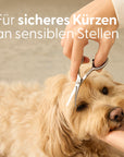 Bild 2 von 8