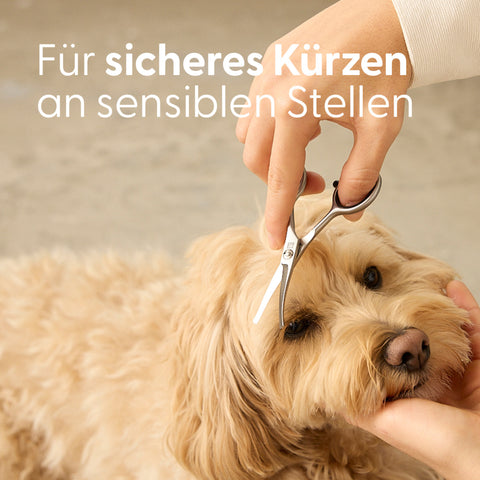 Gesichts- und Pfotenschere