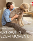 Bild 8 von 8