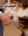 Bild 2 von 8