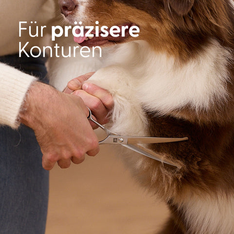 Safety Fellschere für mittelgroße und große Hunde