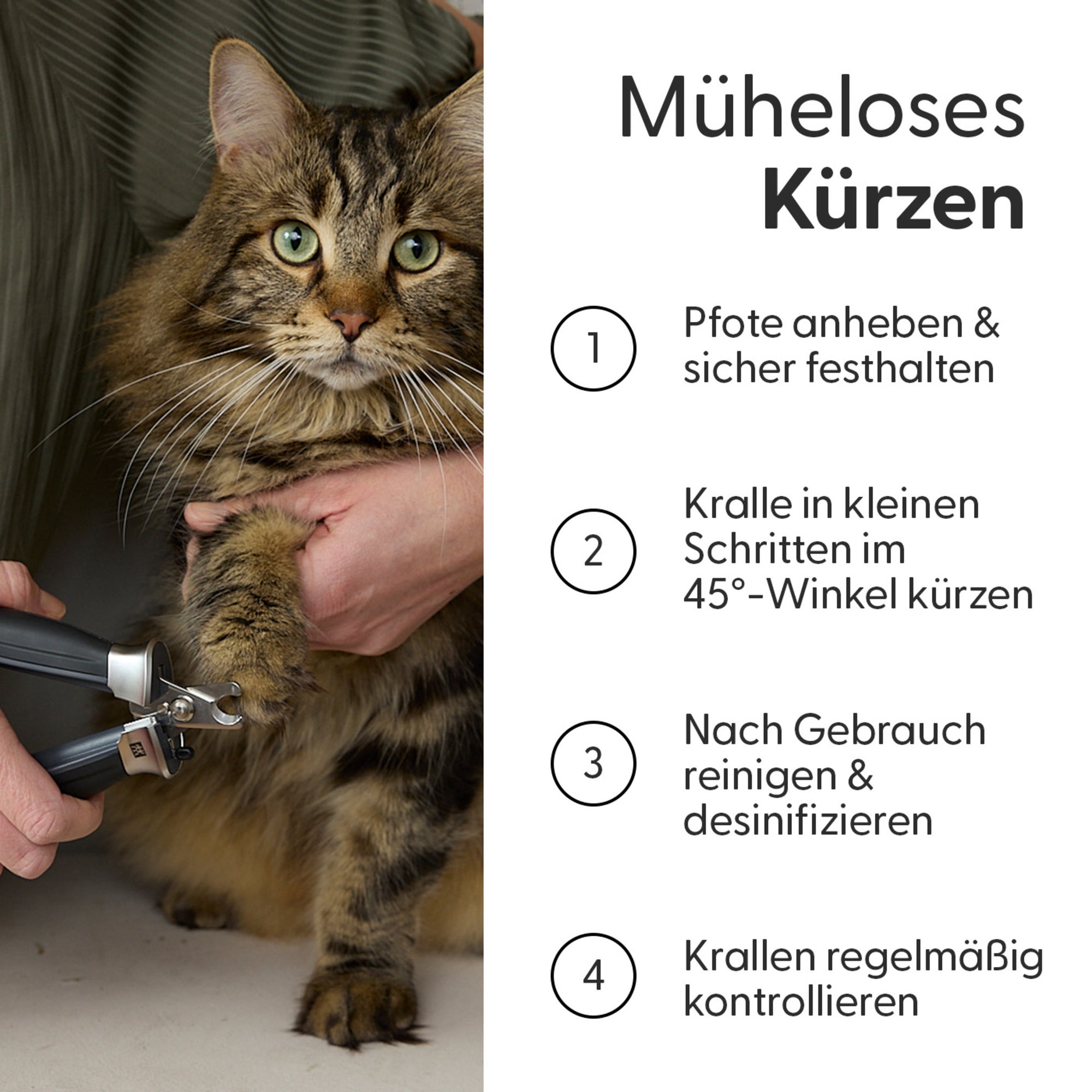 Präzisions‑Krallenschere für kleine Hunde und Katzen