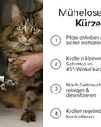 Bild 6 von 9