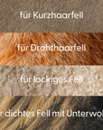 Bild 5 von 10