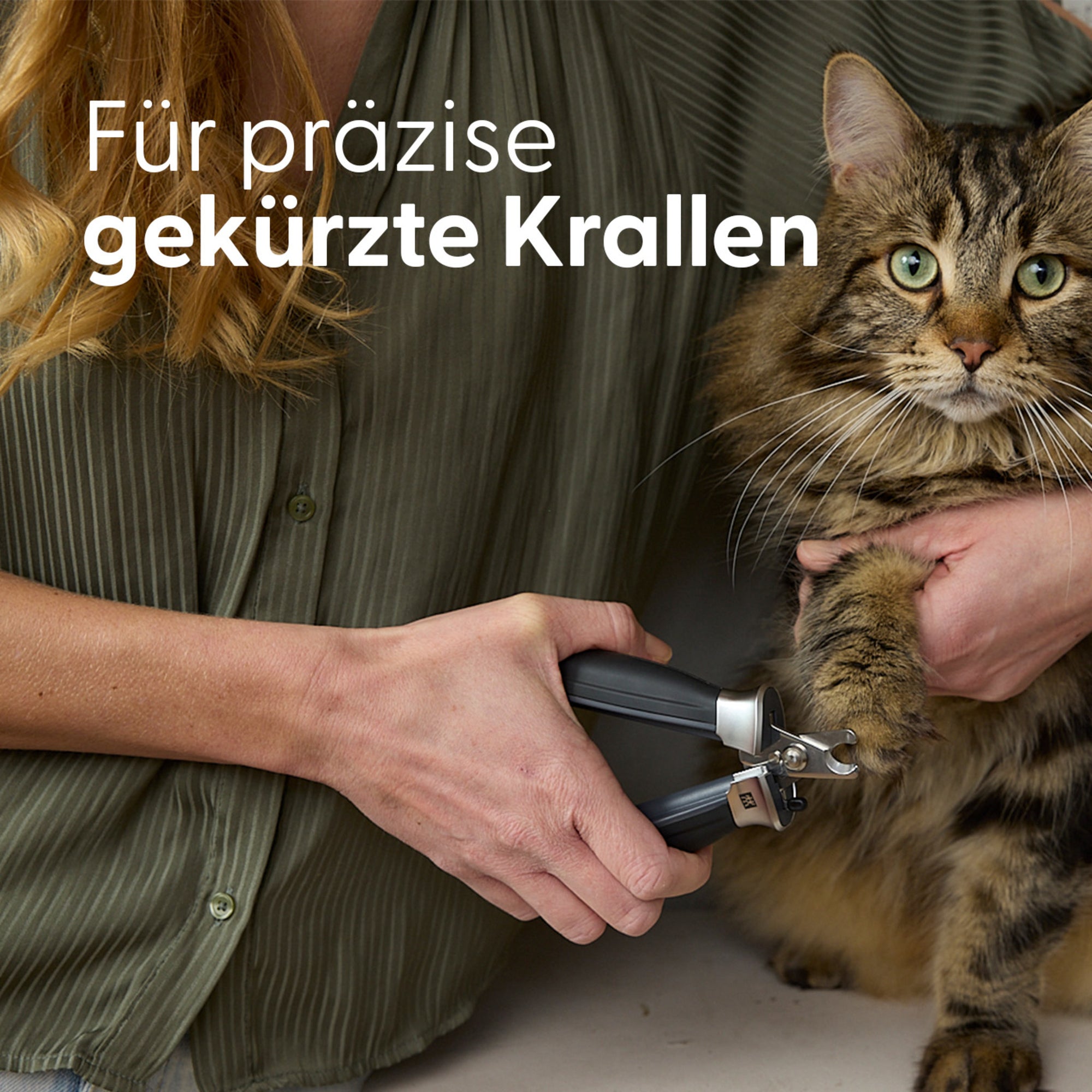 Präzisions‑Krallenschere für kleine Hunde und Katzen