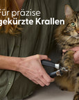 Bild 2 von 9