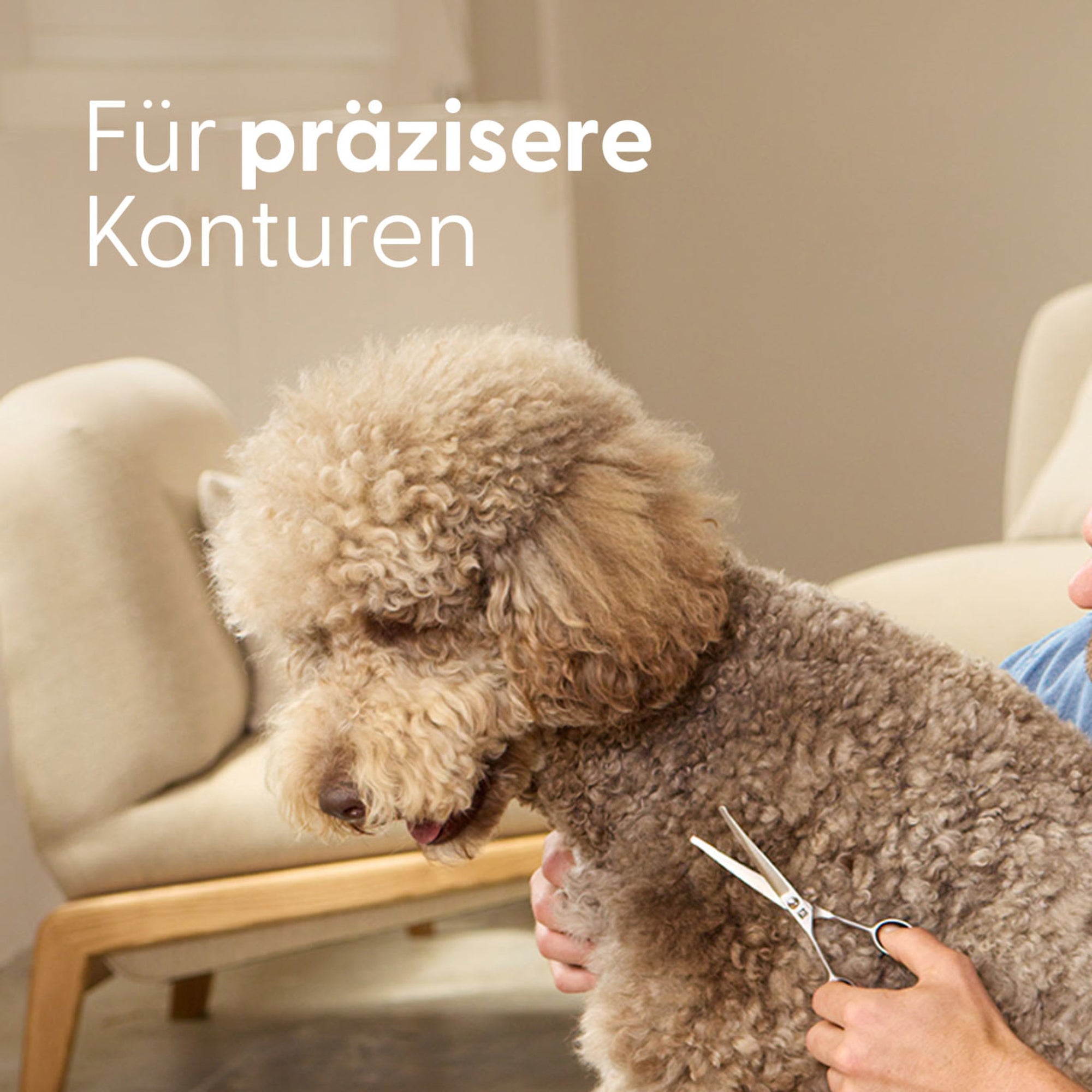 Safety Fellschere für kleine Hunde und Katzen