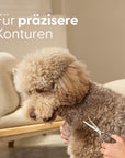 Bild 2 von 8
