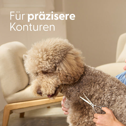 Safety Fellschere für kleine Hunde und Katzen