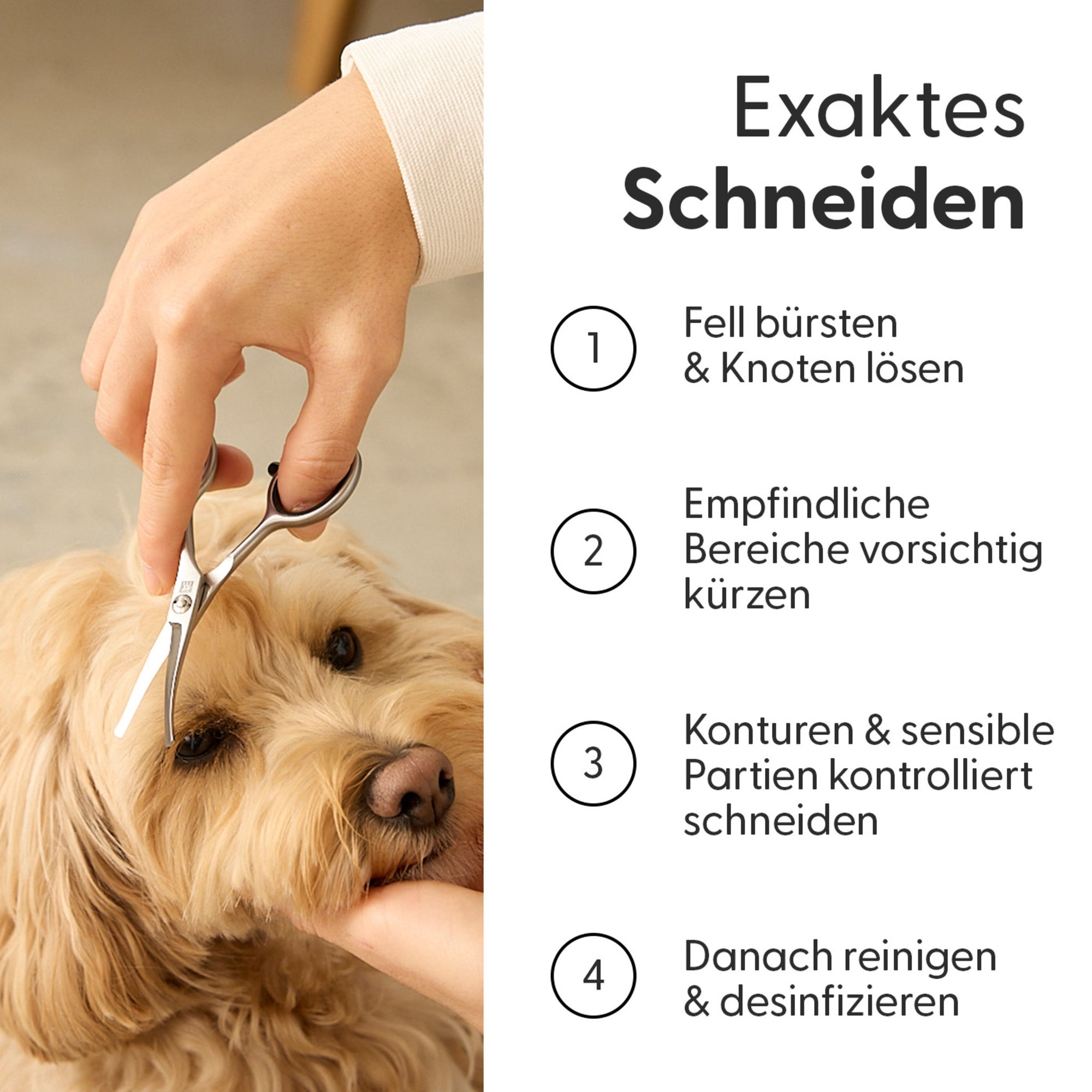 Gesichts- und Pfotenschere