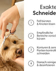 Bild 5 von 8