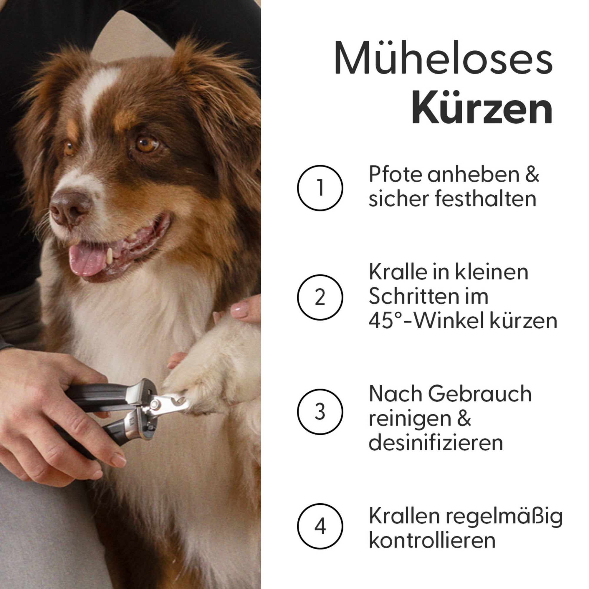 Präzisions‑Krallenschere für mittelgroße und große Hunde