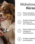 Bild 6 von 9