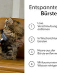 Bild 6 von 10