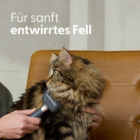 Soft‑Tip Zupfbürste für kleine Hunde und Katzen