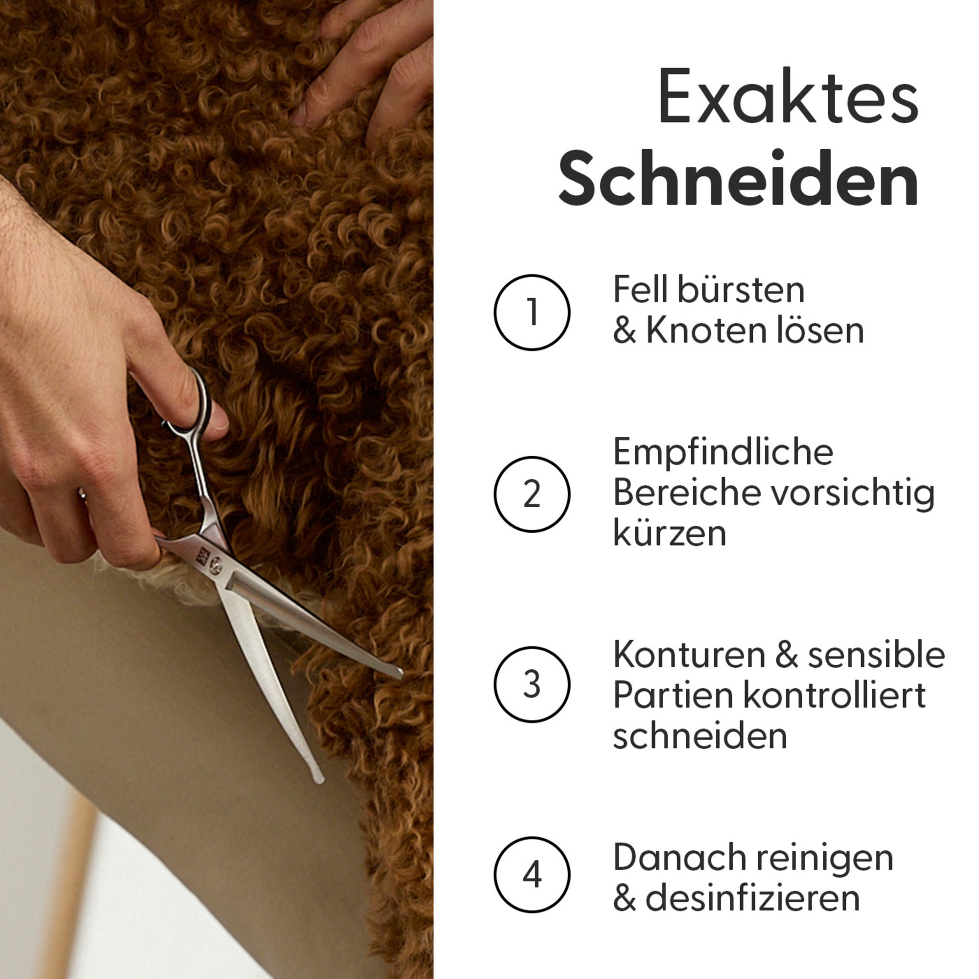 Safety Fellschere für mittelgroße und große Hunde
