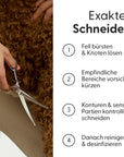 Bild 5 von 8