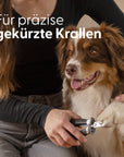 Bild 2 von 9