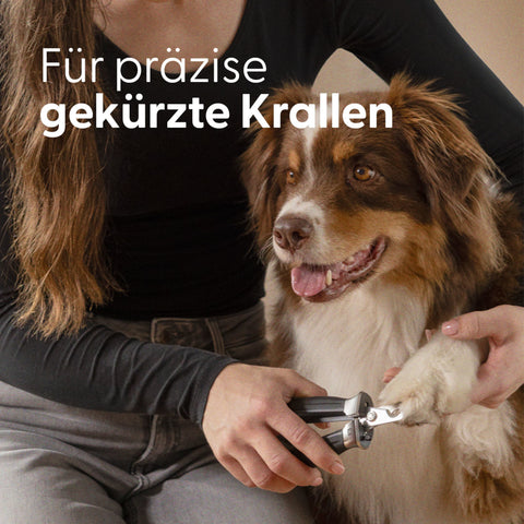 Präzisions‑Krallenschere für mittelgroße und große Hunde