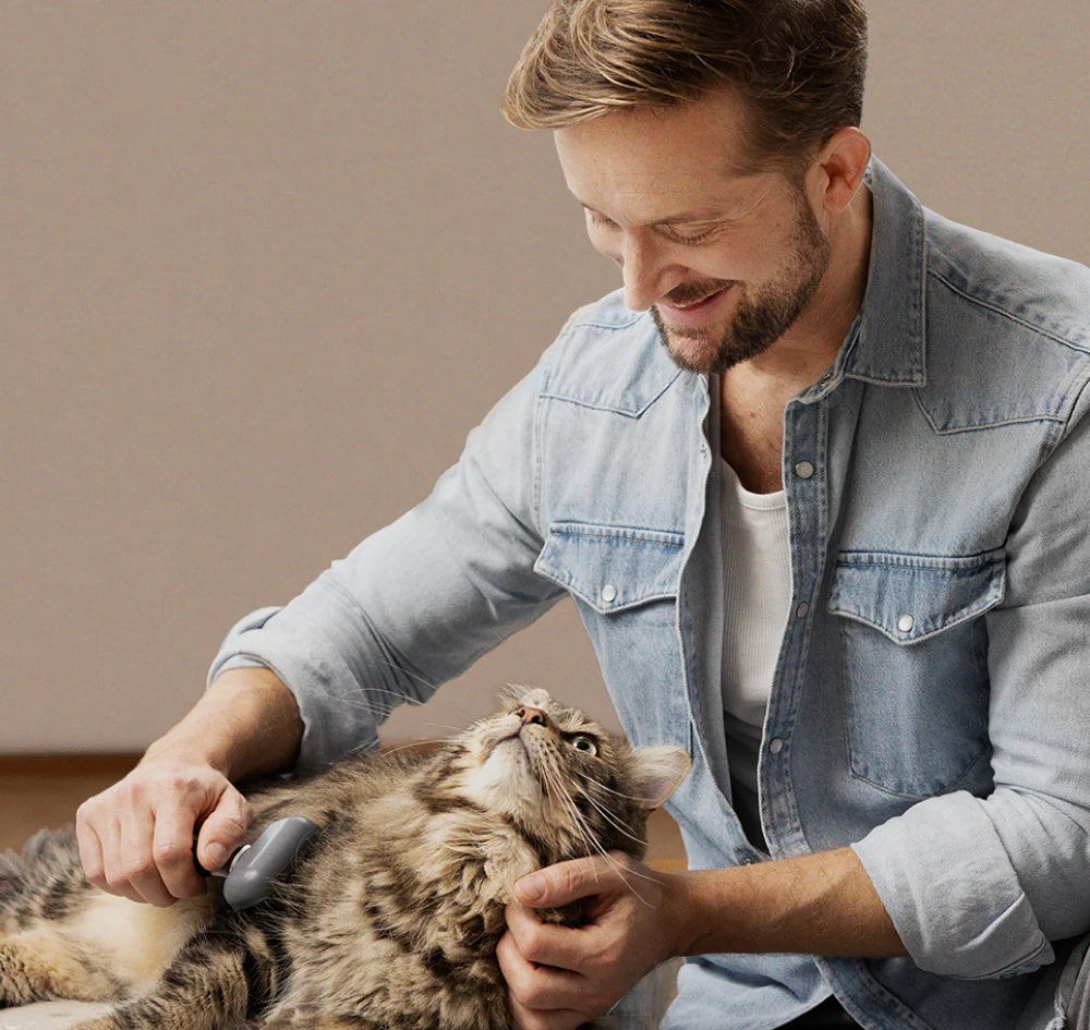 Björn bürstet sanft das Fell einer Katze.